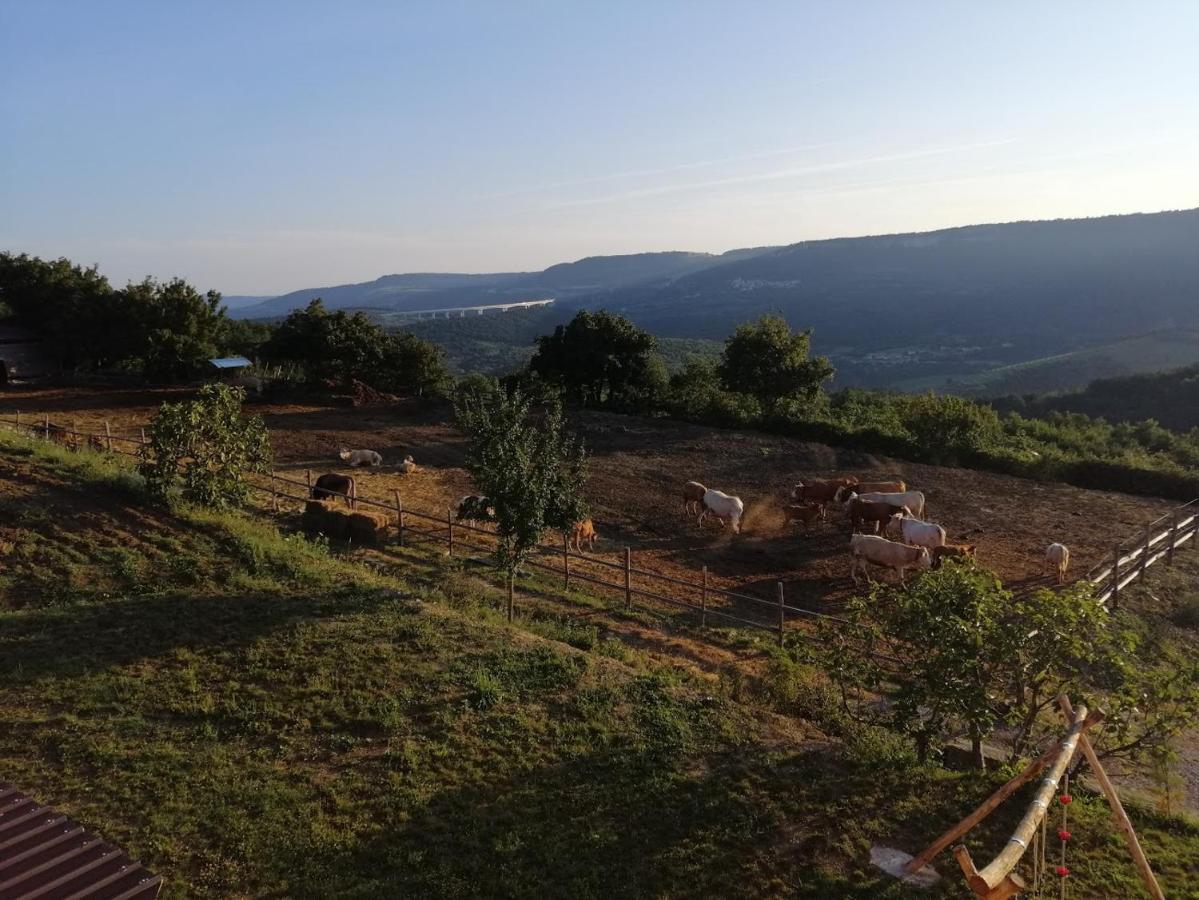 Camping Jakomin Koper Exterior photo